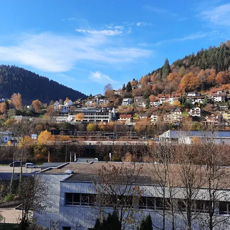 Wildbad Apartament