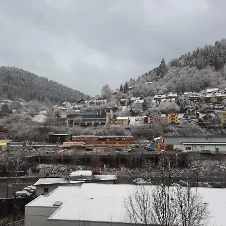 Apartament Wildbad